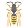 Wasp Stickers Wasp Stickers