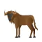 Wildebeest Stickers