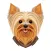 Yorkshire Terrier Stickers