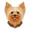Yorkshire Terrier Stickers
