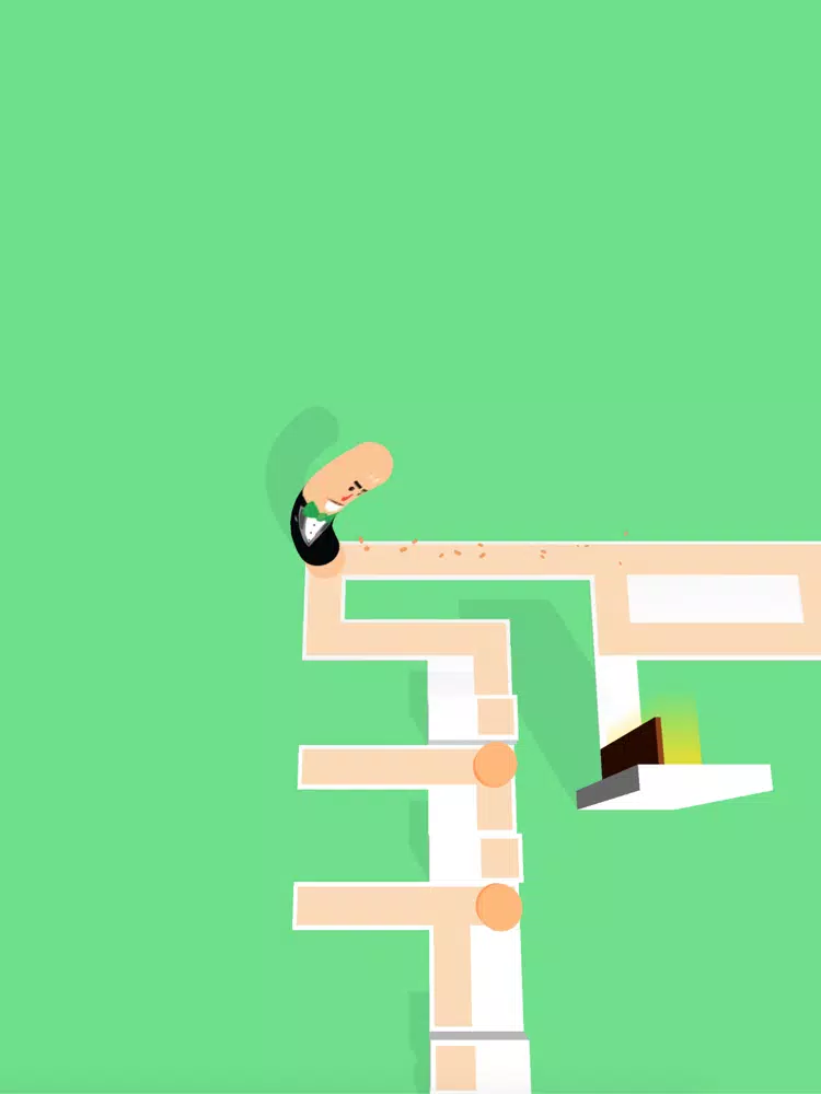Wiggle Slide 3D iPad 应用截图