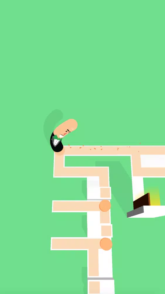 Wiggle Slide 3D应用截图