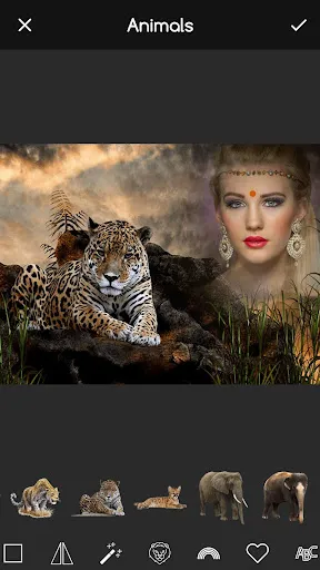 Animal Photo Editor App应用截图