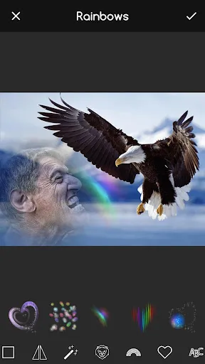 Animal Photo Editor App应用截图