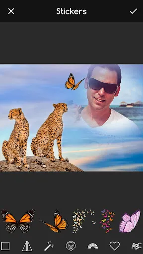 Animal Photo Editor App应用截图