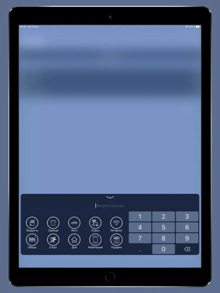 Capturas de tela do CoinSave Учет расходов iPad 