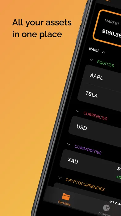 Investment Portfolio Ekran Görüntüleri