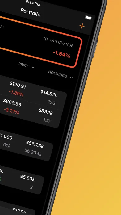 Investment Portfolio Ekran Görüntüleri