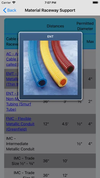 Captures d'écran de 2017 Master Electrician Ref.