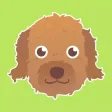 Pawfect Life - Puppy Training