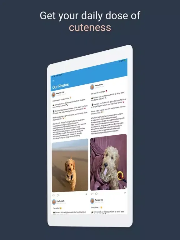 Pawfect Life - Puppy Training iPad 應用截圖