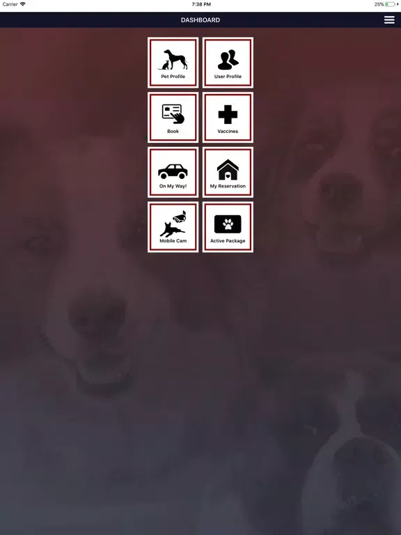 Скриншоты All American Pet Resort iPad 