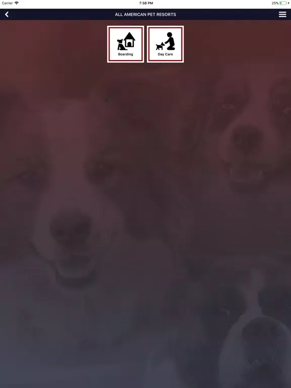 Скриншоты All American Pet Resort iPad 