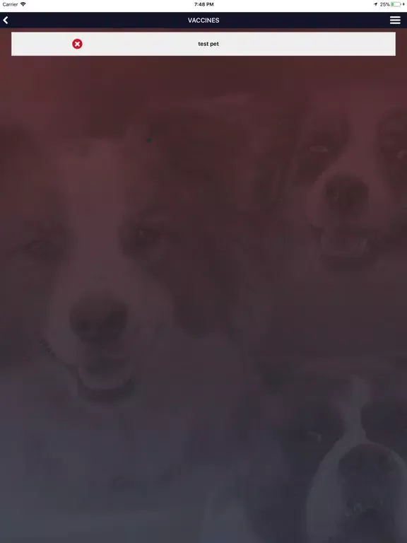 Скриншоты All American Pet Resort iPad 