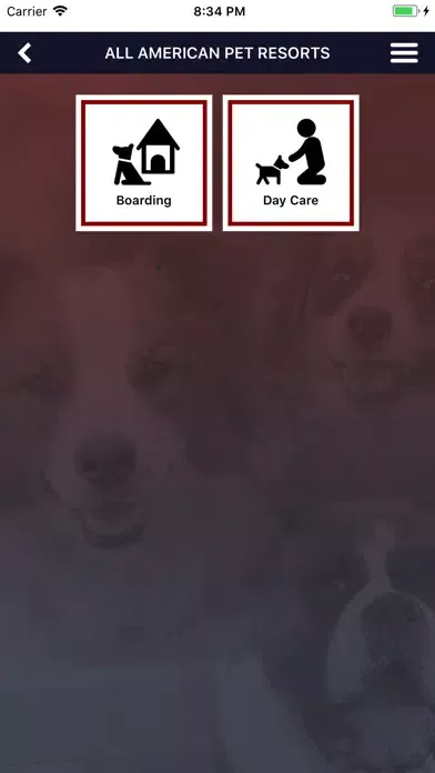Скриншоты All American Pet Resort