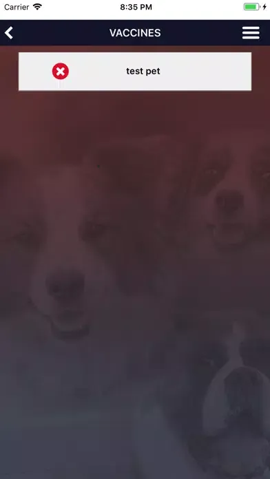Скриншоты All American Pet Resort