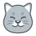 Curious Cat: Paid Surveys