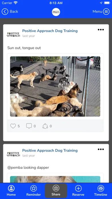 Positive Approach Dog Training應用截圖