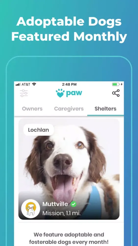 صور Paw: Dog Care Community