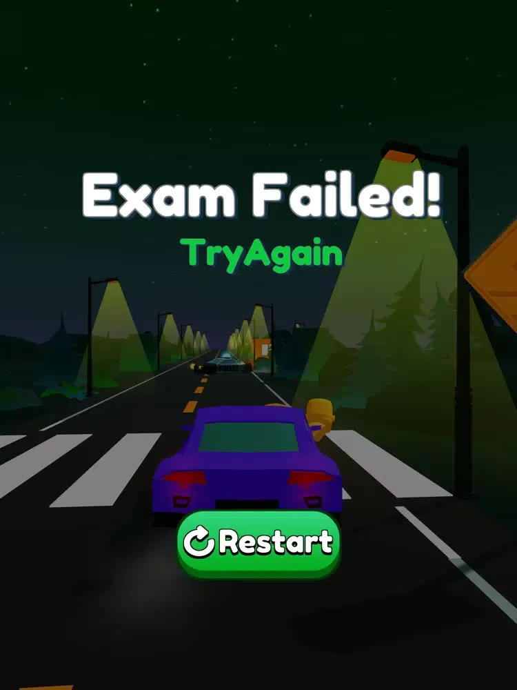 Capturas de tela do Drive Exam iPad 