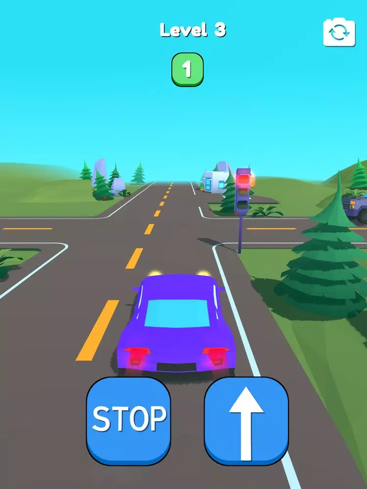Capturas de tela do Drive Exam iPad 