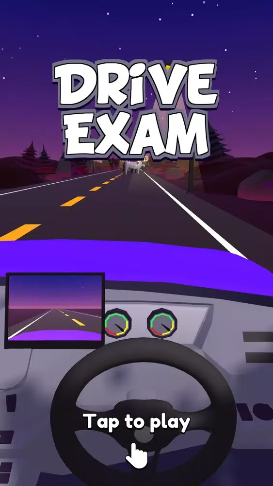 Capturas de tela do Drive Exam