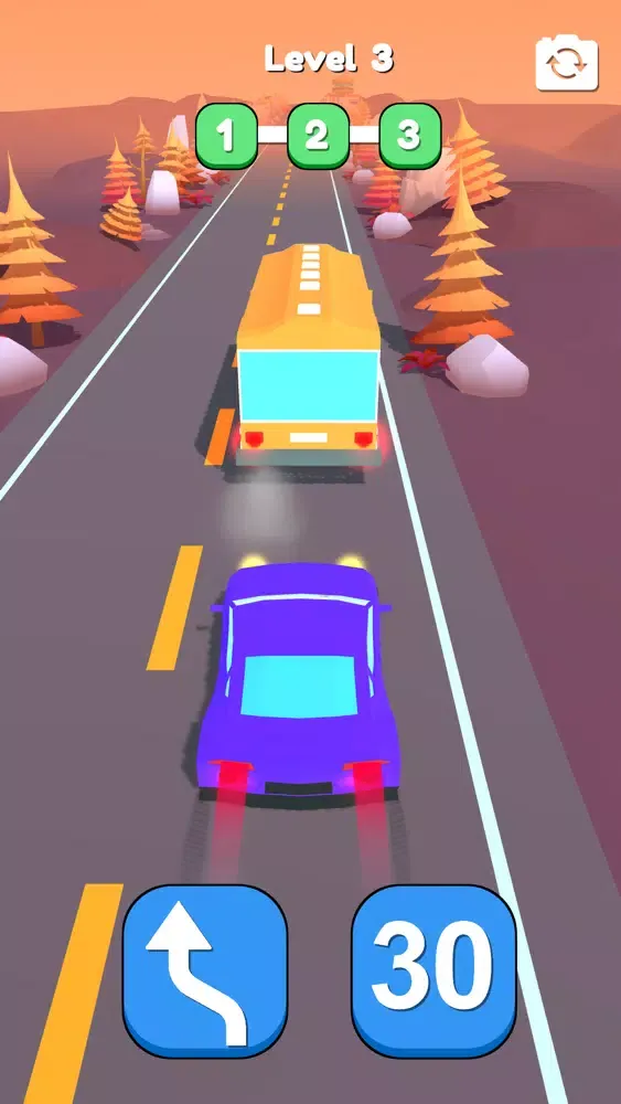 Capturas de tela do Drive Exam