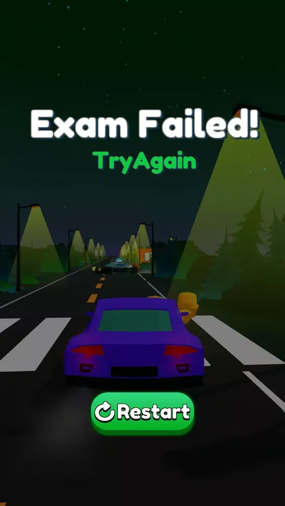 Capturas de tela do Drive Exam