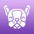 Pawfect