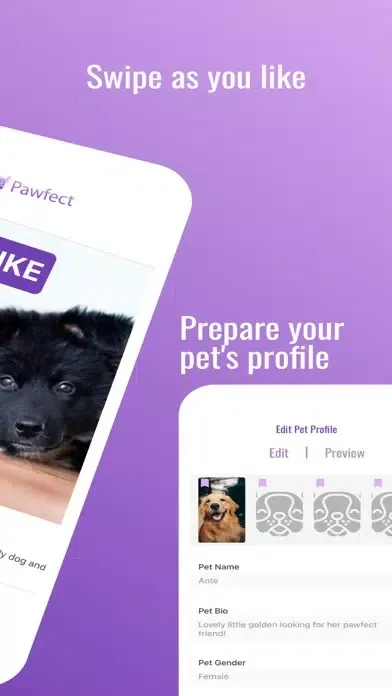 صور Pawfect