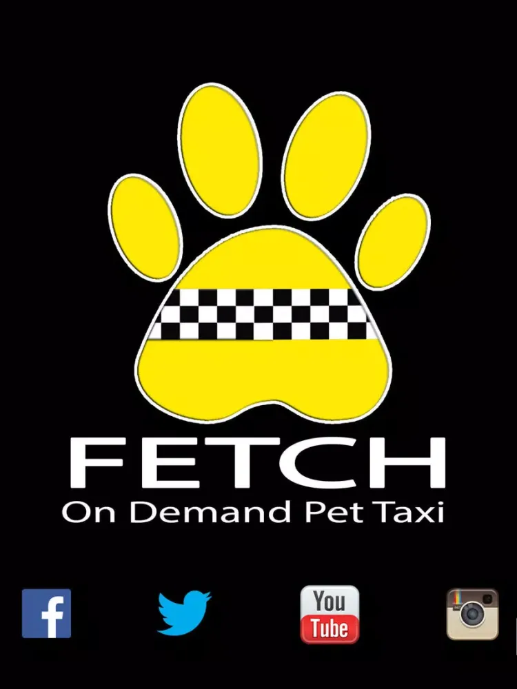 Captures d'écran de TEAM FETCH iPad 