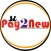 Pay2New Fintech