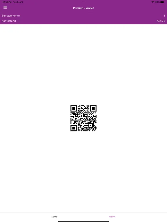 ProWeb App iPad 应用截图