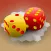 Catan Dice