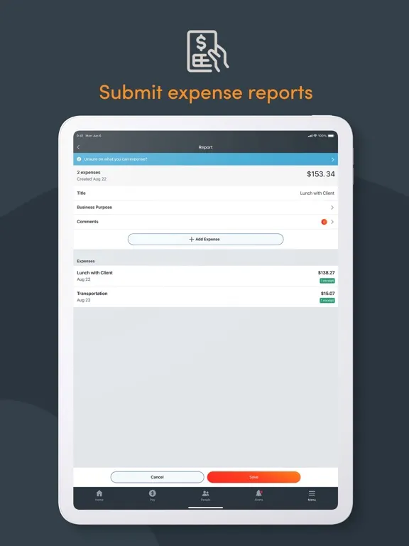 Paylocity iPad 应用截图