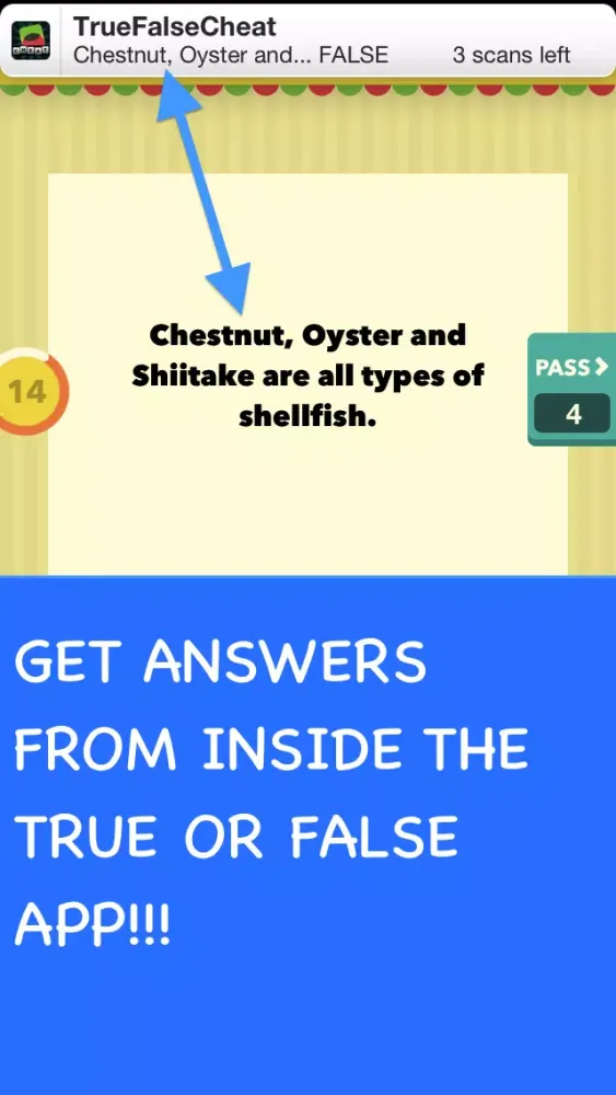 Cheat for True or False - All Answers Screenshots