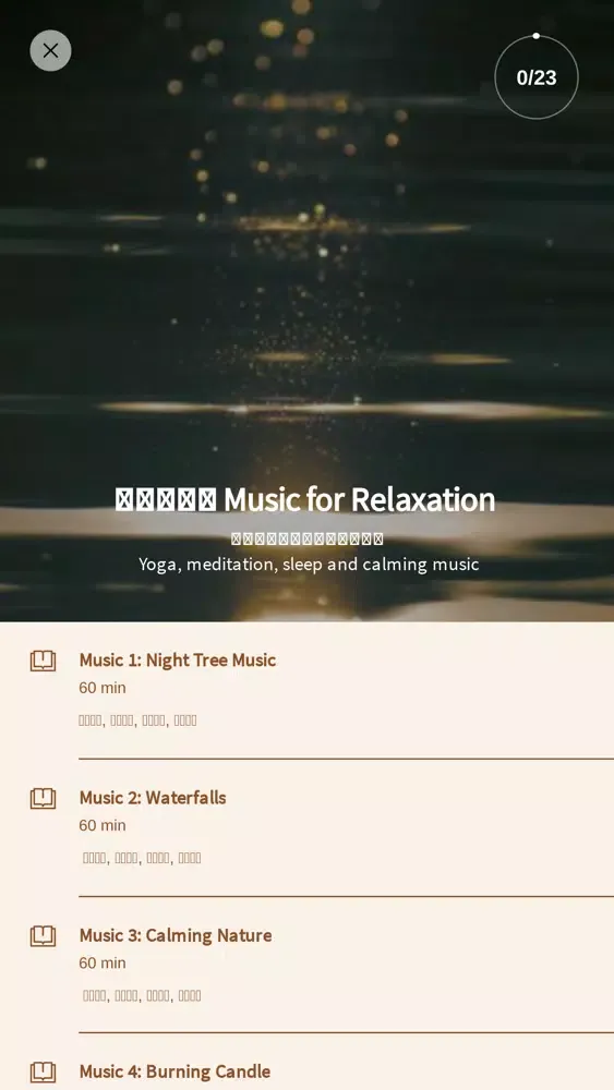 The Peaceful Self 平和真我应用截图