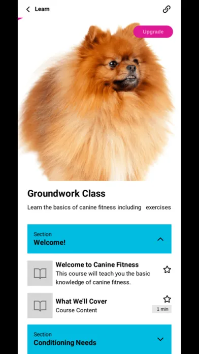 Canine Fitness App 스크린샷