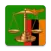 Penal Code of Zambia