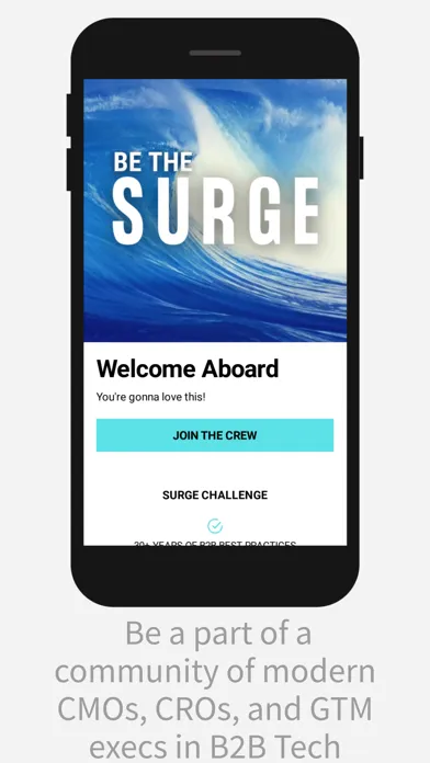 Capturas de tela do SURGE B2B GTM APP