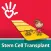 Stem Cell Transplant