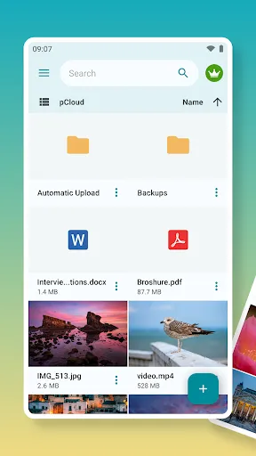 pCloud: Cloud Storage Screenshots