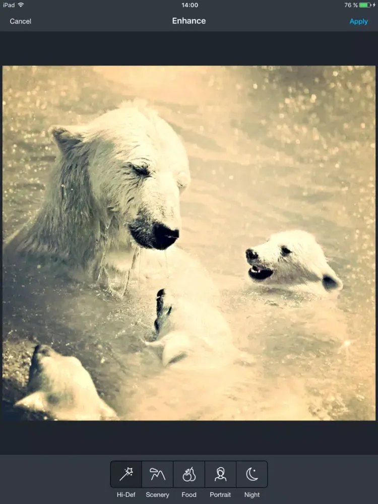 PicLab Express iPad 應用截圖