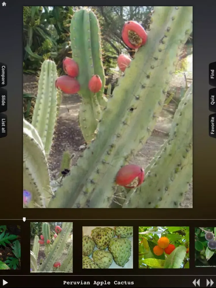 Скриншоты Fruits Guide iPad 