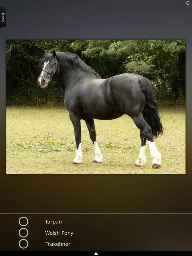Zrzuty ekranu Horses for iPhone iPad 