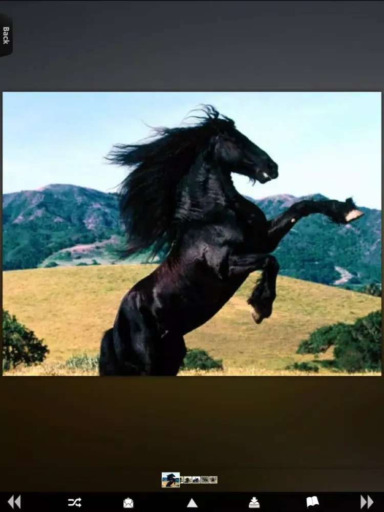 Zrzuty ekranu Horses for iPhone iPad 