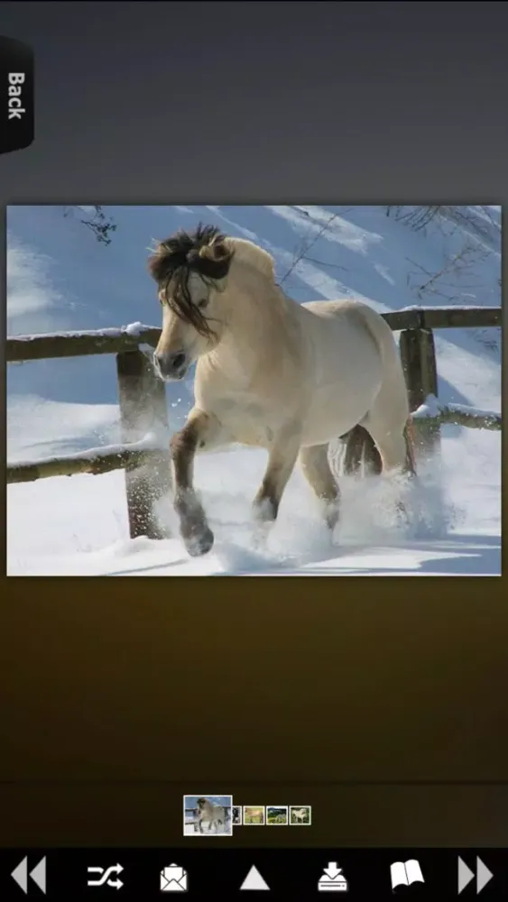 Zrzuty ekranu Horses for iPhone