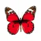 Insect Stickers for iMessage