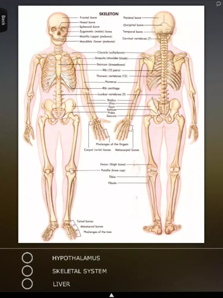 Human Body Database iPad  स्क्रीनशॉट