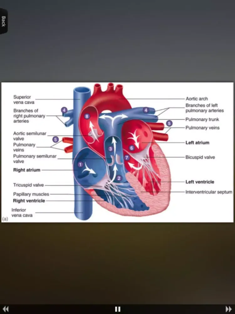 Human Body Database iPad  स्क्रीनशॉट